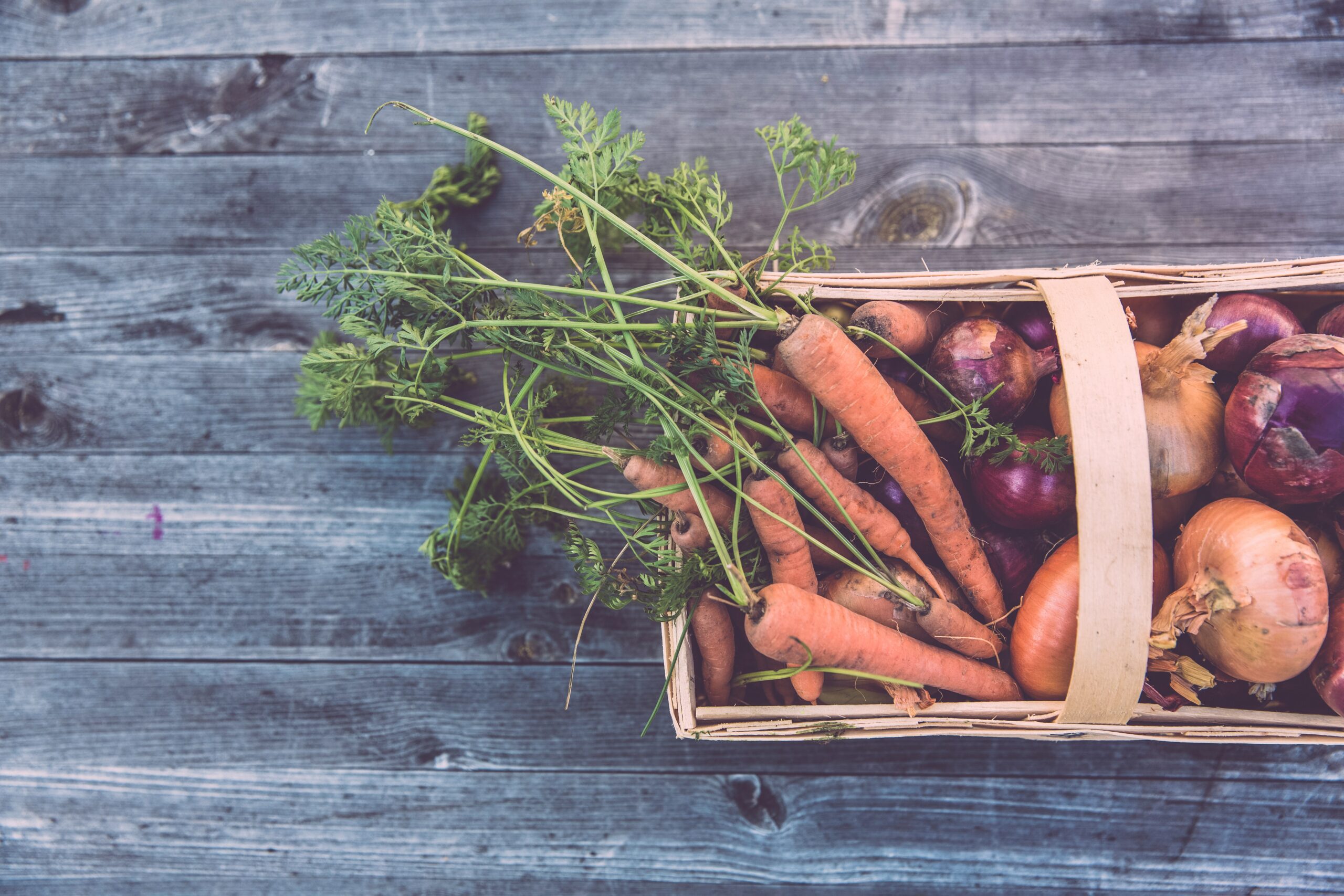 Vegetable gardening in NH