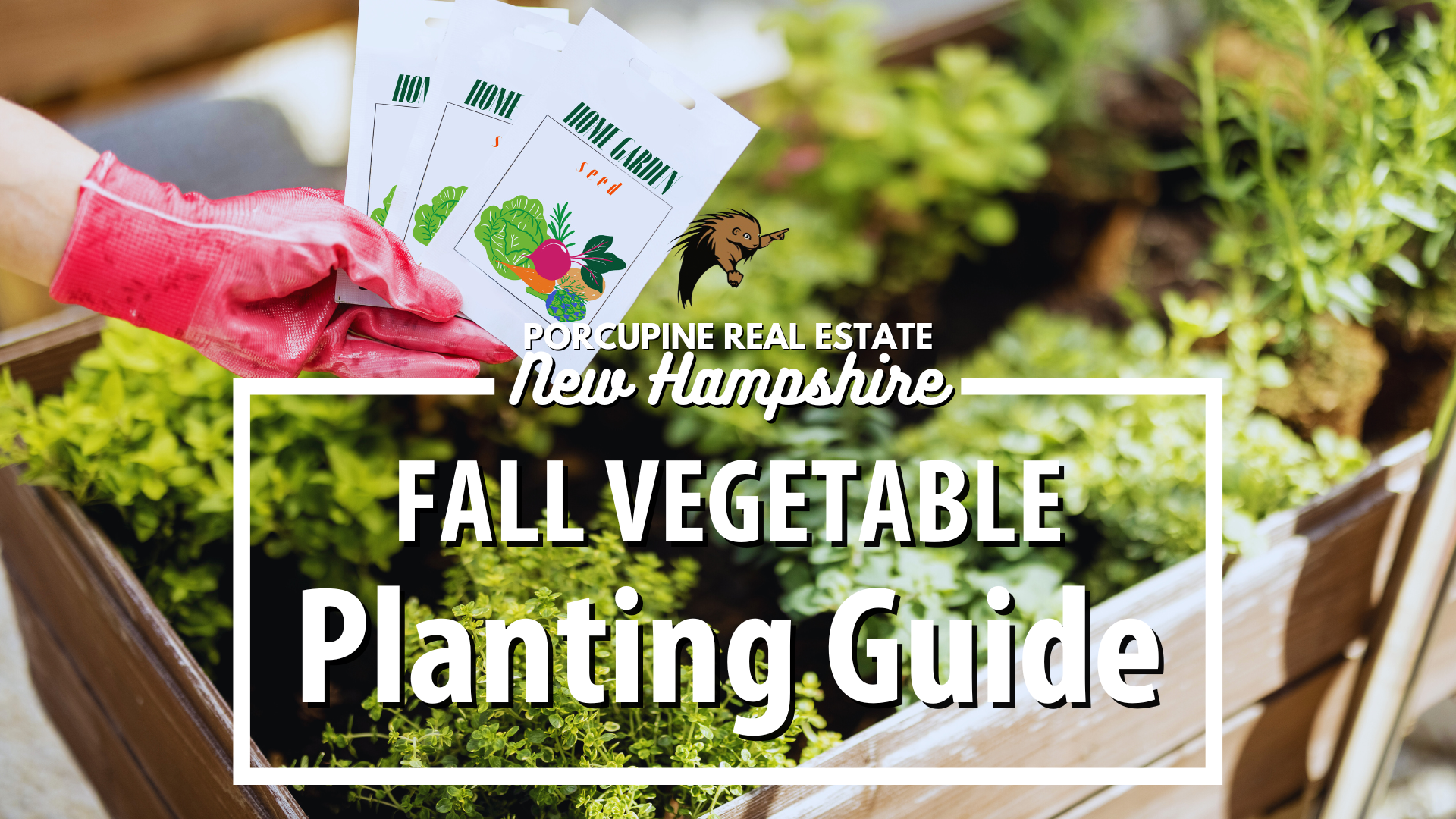 New Hampshire Fall Vegetable Planting Guide