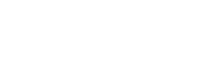 White text on a light grey background reads NEW HAMPSHIRE BLOCKCHAIN COUNCIL in uppercase letters, with NEW HAMPSHIRE in larger font above BLOCKCHAIN COUNCIL.