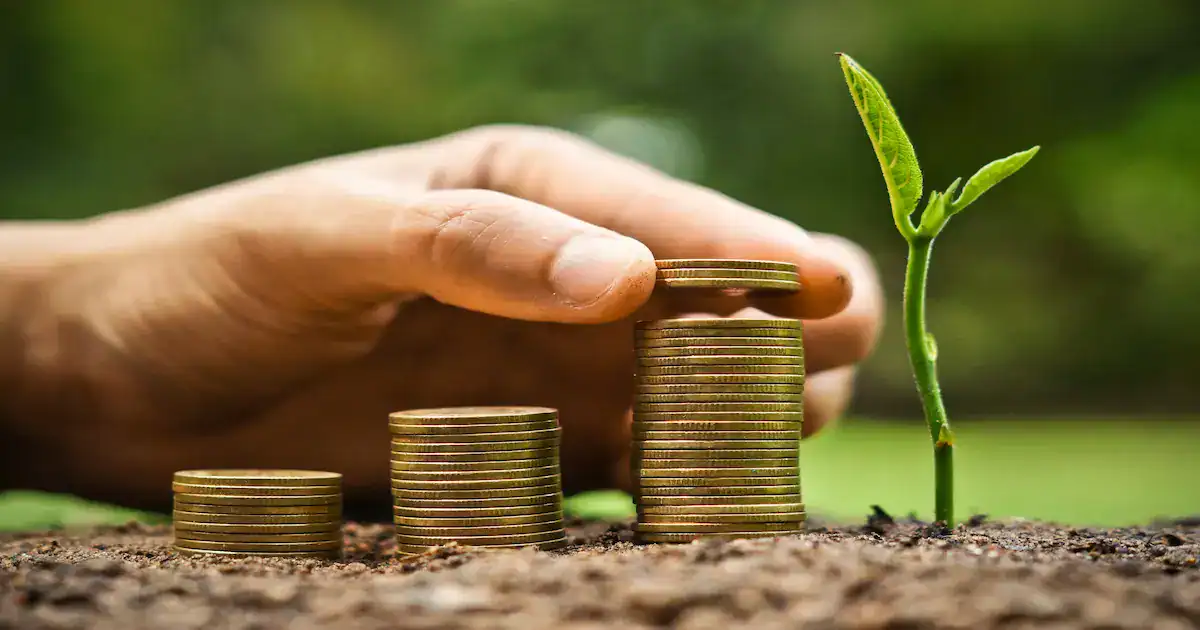 A hand stacks coins into a tall pile beside two shorter stacks on soil, with a young green plant sprouting nearby, symbolizing financial growth and investment in nature.