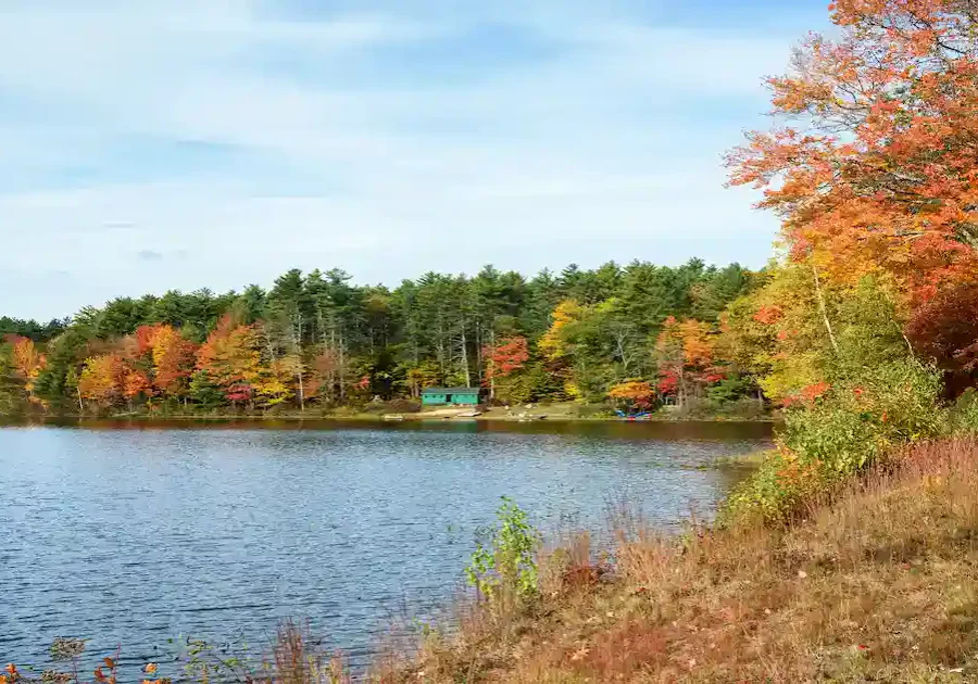 A calm lake bordered by a forest with trees in autumn colors, mostly orange and yellow. A small green cabin is nestled among the trees. The sky is partly cloudy and the shoreline is covered with dry grass and scattered shrubs.